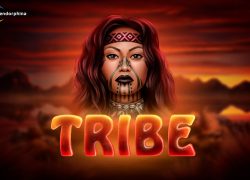 Tribe